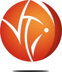Logo VTI Menuiserie scénique